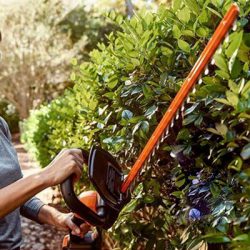 WORX TAILLE HAIES ET COUPE HAIES