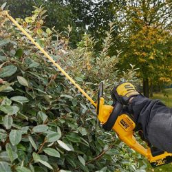 Dewalt TAILLE-HAIES ET COUPE-HAIES