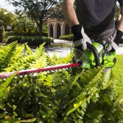 Greenworks TAILLE-HAIES ET COUPE-HAIES