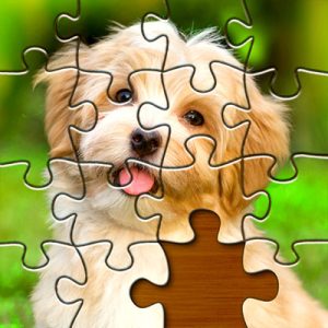 Puzzles pour tous les âges et tous les niveaux