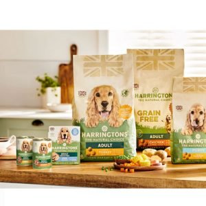 Nourriture pour animaux : choisir l’alimentation adaptée