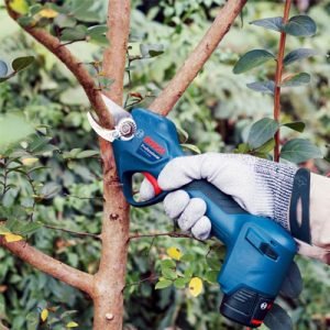 Sécateur Bosch : des outils de taille pratiques pour le jardin