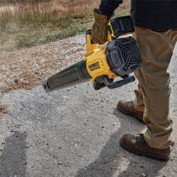 Dewalt Souffleuses À Feuilles