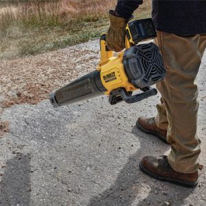 Souffleuse à feuilles DeWalt
