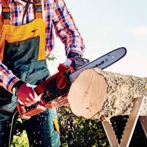 Tronçonneuse Einhell pour l'entretien du jardin et la coupe du bois