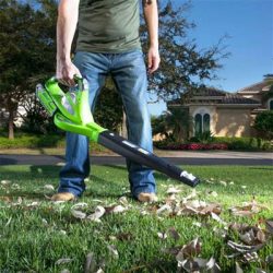 Greenworks Souffleur feuilles