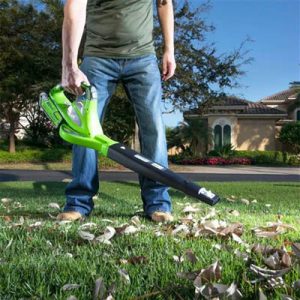 Greenworks Souffleur Feuilles : comparez les modèles