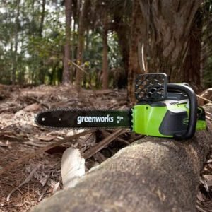 Tronçonneuse Greenworks sans fil
