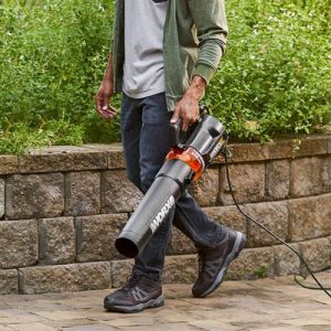 Worx Souffleurs de Feuilles