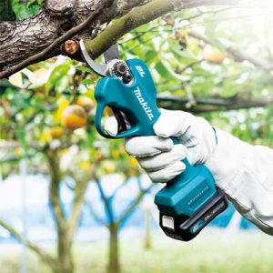 Secateur pour tailler facilement vos plantes et arbustes