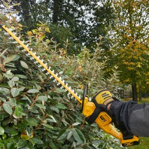 Taille-haies DeWalt : taille-haies et coupe-haies sans fil